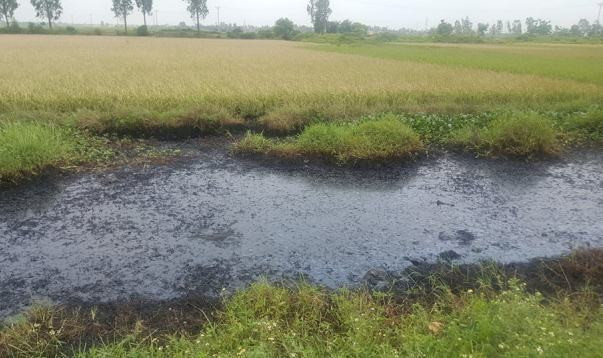 Đại diện Công an huyện Vĩnh Bảo cho biết, đơn vị đã cử cán bộ xuống hiện trường ghi nhận và báo cáo lên cấp trên để làm rõ. Bước đầu đơn vị này nhận định: Khu vực gần mương nước không có nhà máy, xí nghiệp và không có nhà dân ở. Các dấu vết tại hiện trường cho thấy đây là vụ đổ trộm chất thải nguy hại. 