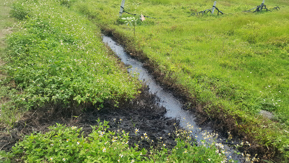 Điều đáng chú ý, mương có chất thải bị đổ trộm không chỉ nằm trong khu vực sản xuất nông nghiệp của người dân mà còn nằm sát và thông một phần ra kênh Thượng Đồng, vốn là nơi cung cấp nước cho nhà máy nước sạch trên địa bàn. 