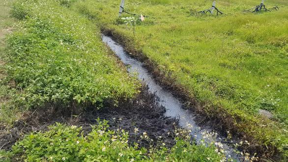 Điều đáng chú ý, mương có chất thải bị đổ trộm không chỉ nằm trong khu vực sản xuất nông nghiệp của người dân mà còn nằm sát và thông một phần ra kênh Thượng Đồng, vốn là nơi cung cấp nước cho nhà máy nước sạch trên địa bàn. 