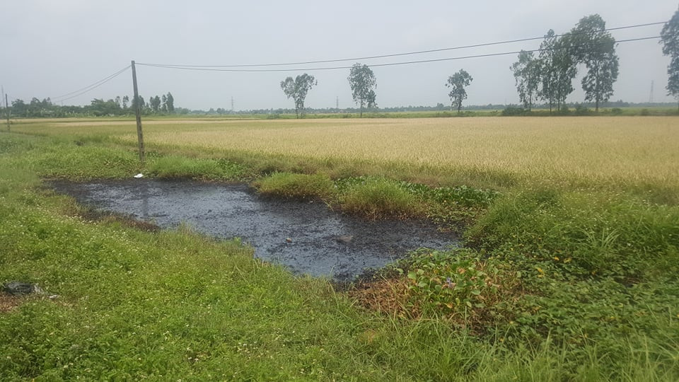 Tại hiện trường, cả hai bên ven tuyến quốc lộ 10, đoạn thuộc địa bàn xã Hưng Nhân (huyện Vĩnh Bảo, TP Hải Phòng) xuất hiện loại chất thải đen đặc, bốc mùi khó chịu. Theo quan sát, tại những điểm mà chất thải độc hại bị đổ ra sau đó lan ra xung quanh đều khiến cỏ dại, hoa màu chết cháy.