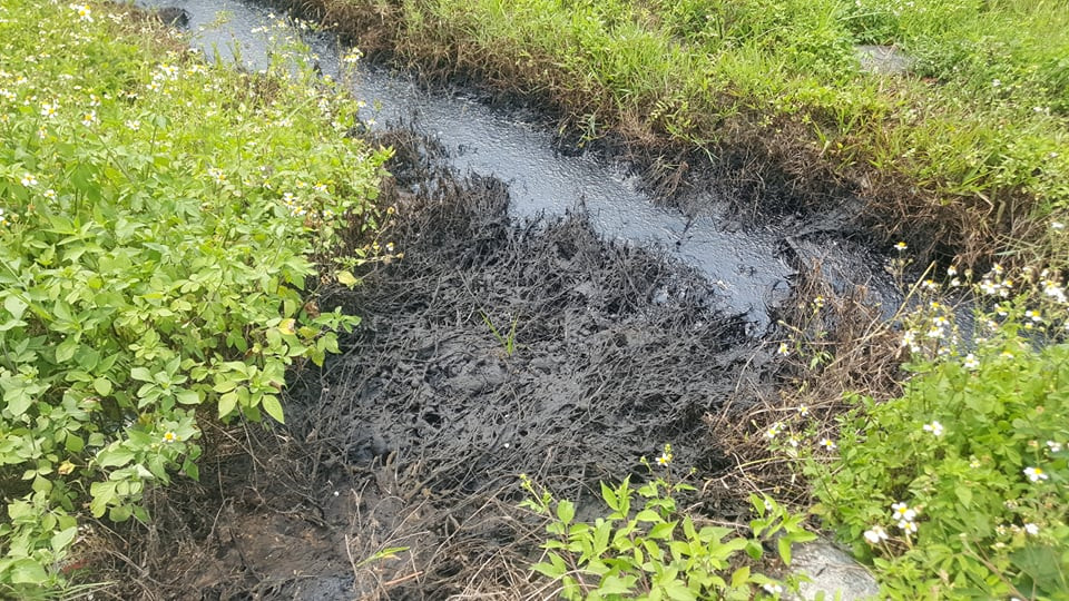 Hiện nay, UBND huyện Vĩnh Bảo đang phối hợp với các đơn vị liên quan để làm rõ vụ việc trên. Các cơ quan chức năng đã lấy mẫu chất thải tại đây để xét nghiệm. Đồng thời, UBND huyện Vĩnh Bảo sớm có báo cáo lên UBND TP Hải Phòng và Sở Tài nguyên môi trường thành phố Hải Phòng để có hưởng xử lý. 