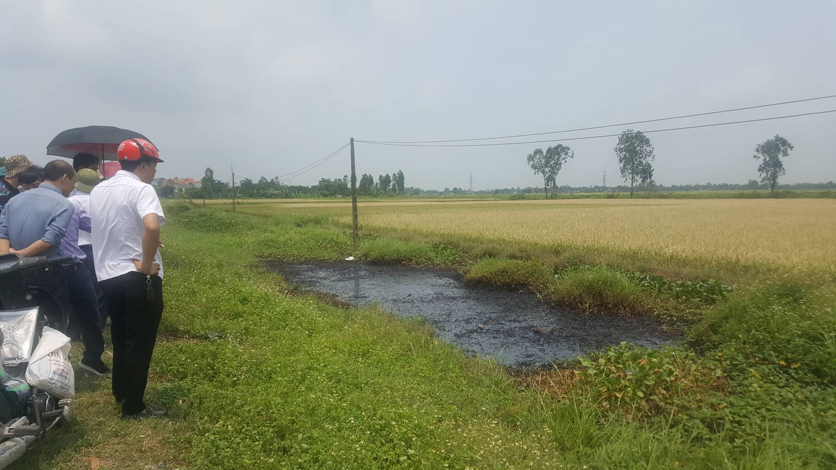 Mới đây, ngày 20/5, ông Nguyễn Trọng Nhưỡng, chủ tịch UBND huyện Vĩnh Bảo trực tiếp cùng các ban ngành liên quan của huyện xuống khu vực mương nước mà người phụ nữ gặp nạn. 