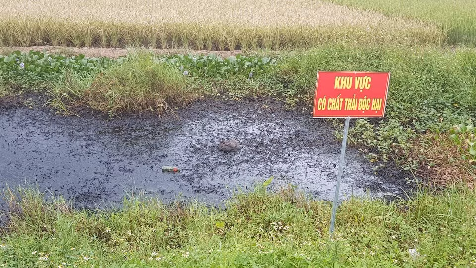 Muong nuoc chat thai doc hai o Hai Phong: Dan keu cuu!