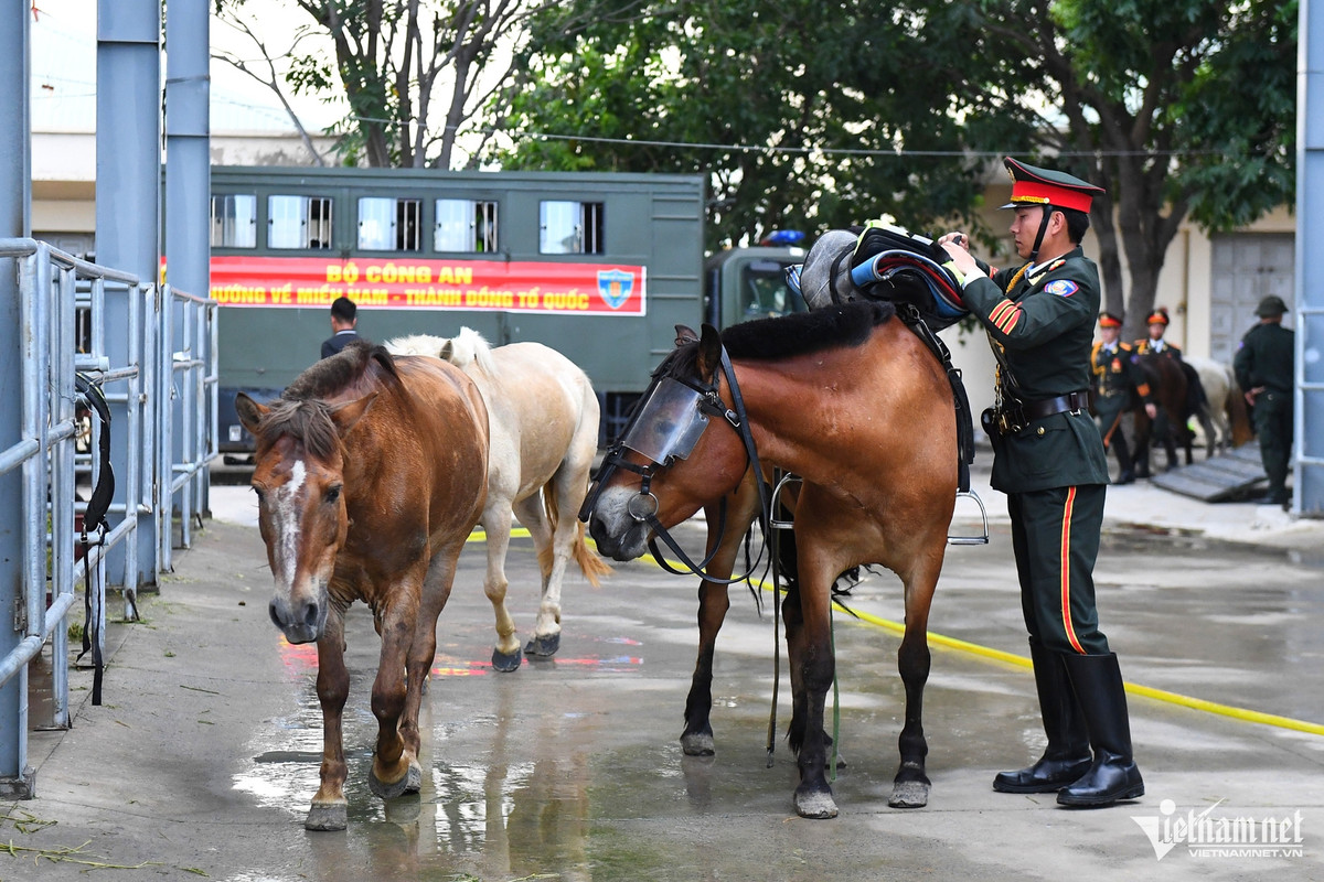 Che do an, ngu dac biet cua ngua ky binh truoc ngay dai le