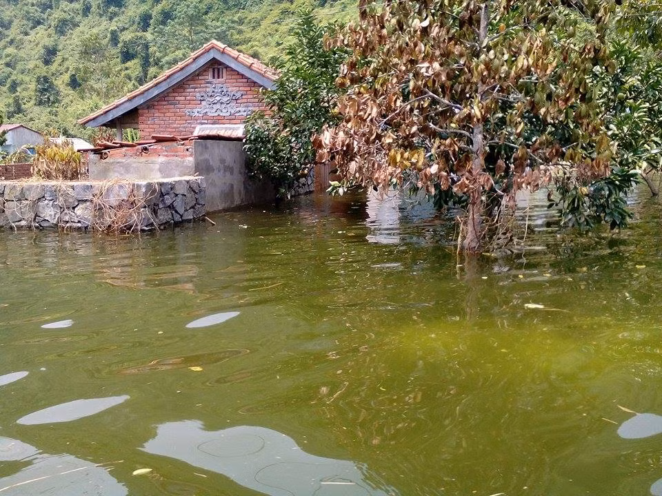 Cả xã đảo Việt Hải vẫn mênh mông sóng nước.