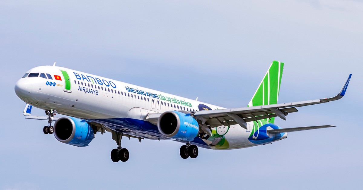 Toàn bộ thành viên Hội đồng quản trị và ban kiểm soát Bamboo Airways xin từ nhiệm - Hình 2 Toan bo thanh vien Hoi dong quan tri va ban kiem soat Bamboo Airways xin tu nhiem-Hinh-2