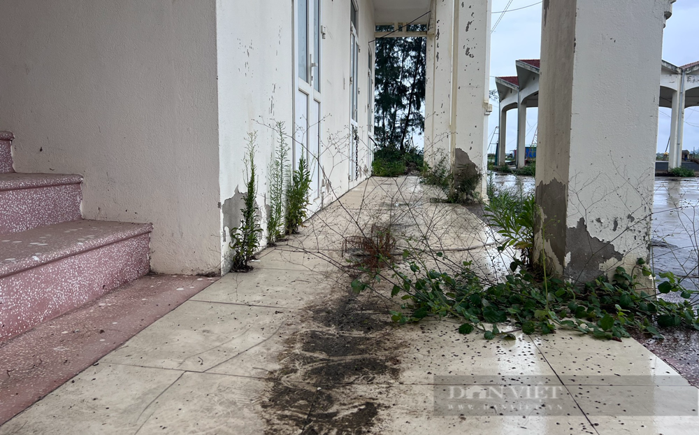 Nhiều hạng mục công trình được đầu tư khang trang theo thời gian bị xuống cấp. (Ảnh: Dân Việt).