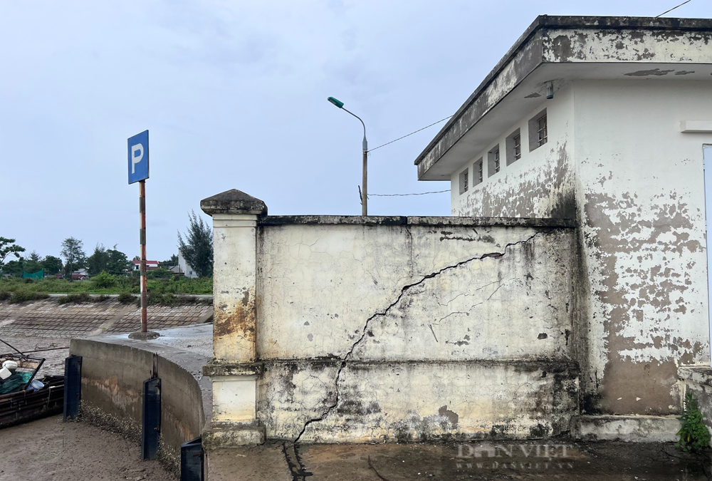 Đến năm 2017, dự án hoàn thành đưa vào sử dụng và giao cho UBND huyện Hoằng Hóa quản lý. Sau đó, UBND huyện Hoằng Hóa giao cho UBND xã Hoằng Phụ quản lý, khai thác. (Ảnh: Dân Việt).