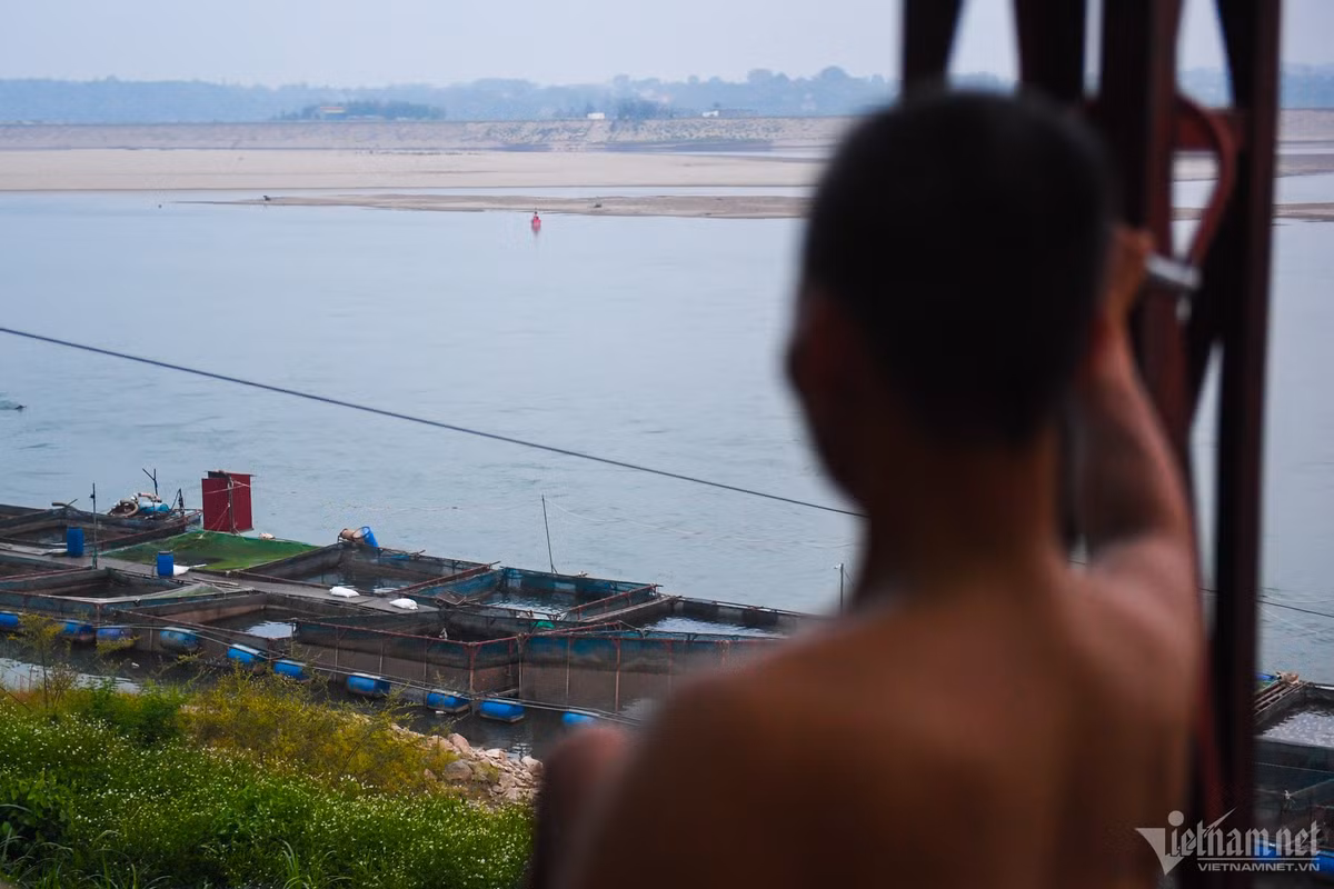 Hai năm trở lại đây, sông Đà chuyển đổi dòng chảy, hình thành các bãi cát bồi cục bộ đoạn qua khu vực nuôi cá lồng. Khi nước từ thượng nguồn đổ về ít, dòng chảy trên sông kém, thêm phía ngoài khu vực nuôi cá đã bị cát bồi lấp kín khiến việc khơi thông dòng chảy gặp rất nhiều khó khăn. Khu vực nuôi cá vì thế mà dễ mắc cạn, người nông dân thấp thỏm chẳng dám nuôi lớn, nuôi nhiều. Đã vậy, họ còn phải đối mặt với cảnh gặp lũ chạy lũ, gặp hạn chạy hạn khiến cuộc sống thêm bấp bênh, vất vả.