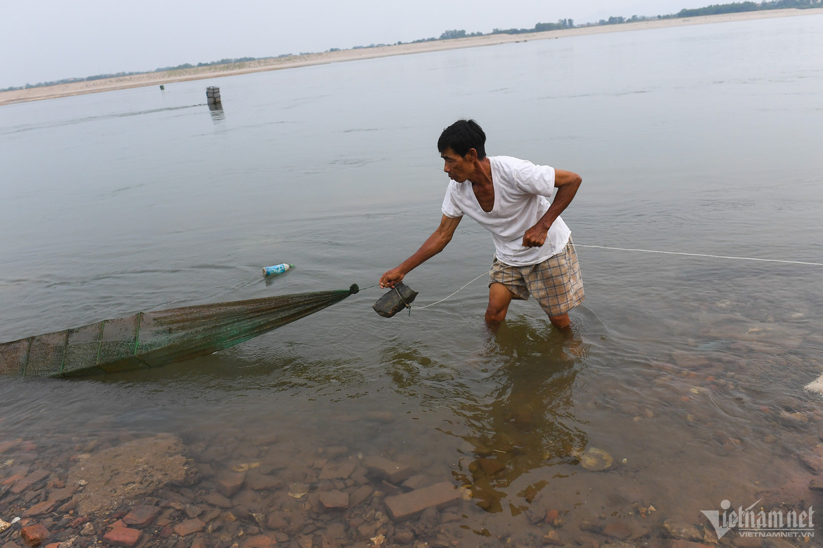 "Nhiều người nghĩ rằng cứ trời mưa to nước sẽ dâng lên, cứu được "cơn khát" khiến sông Đà trơ ra trong những ngày tháng 6 nhưng thực chất không phải vậy. Mưa lớn thường chỉ kéo dài vài tiếng đồng hồ rồi lại theo dòng chảy đi thậm chí nếu mưa quá lâu hoặc nhiều ngày mà dòng chảy không đủ mạnh thì cá còn dễ chết hơn vì bị ngấm nước lạ. Biện pháp duy nhất cứu được người dân nuôi cá lúc này là chờ nước trên đập xả xuống", lão nông nói.