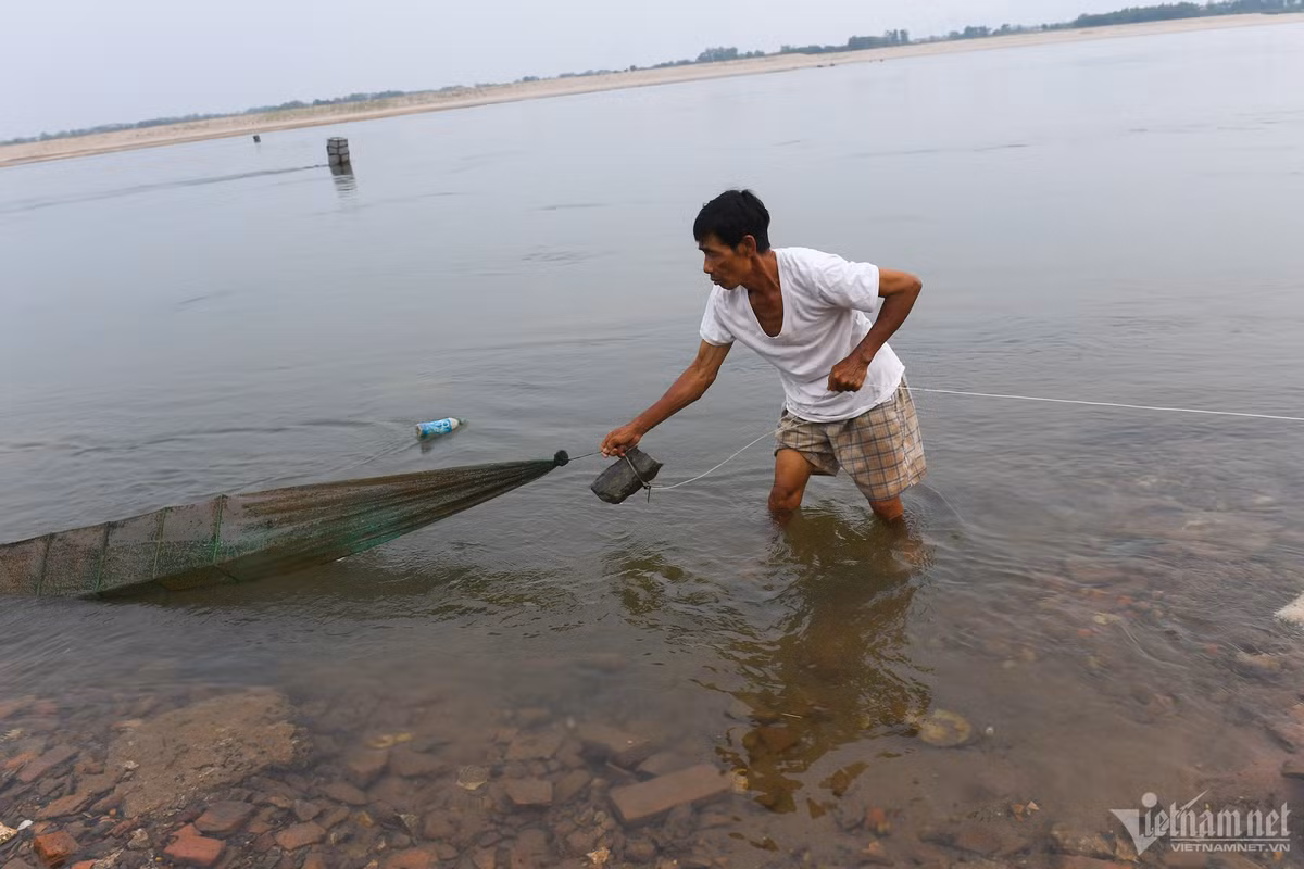"Nhiều người nghĩ rằng cứ trời mưa to nước sẽ dâng lên, cứu được "cơn khát" khiến sông Đà trơ ra trong những ngày tháng 6 nhưng thực chất không phải vậy. Mưa lớn thường chỉ kéo dài vài tiếng đồng hồ rồi lại theo dòng chảy đi thậm chí nếu mưa quá lâu hoặc nhiều ngày mà dòng chảy không đủ mạnh thì cá còn dễ chết hơn vì bị ngấm nước lạ. Biện pháp duy nhất cứu được người dân nuôi cá lúc này là chờ nước trên đập xả xuống", lão nông nói.