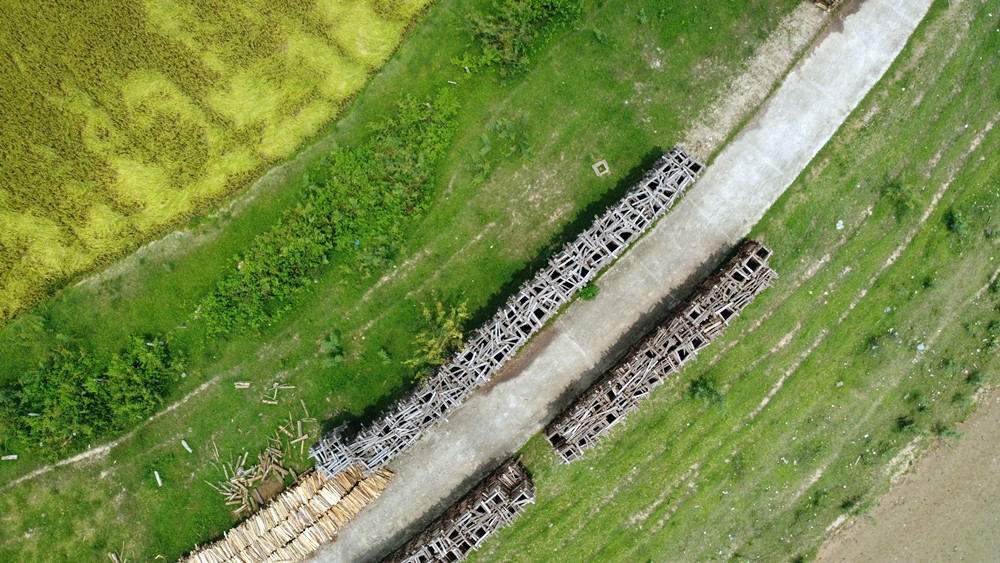 Hai “bức tường củi” trên đê sông Cầu.