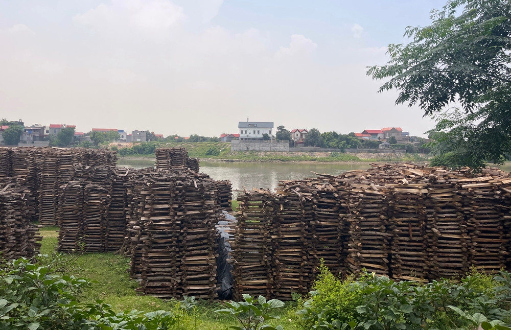 Củi còn được xếp thành nhiều đống cao ở bãi sông.