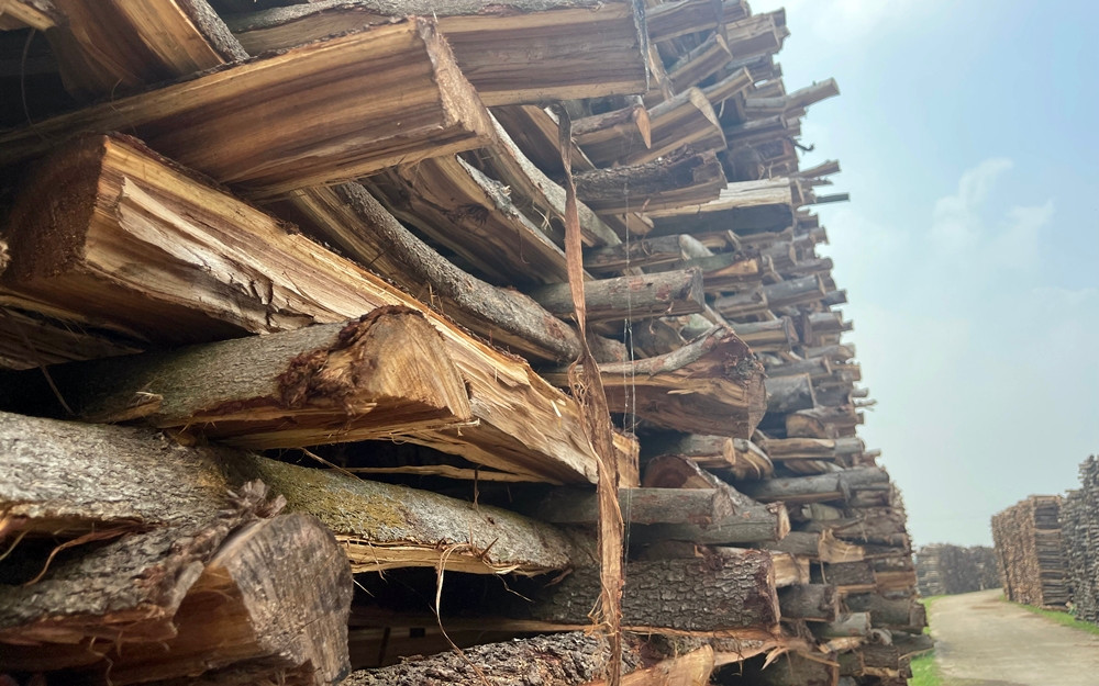 Tình trạng này không chỉ gây cản trở giao thông, hạn chế tầm nhìn, tiềm ẩn nguy cơ tai nạn cao cho những người di chuyển qua đây.