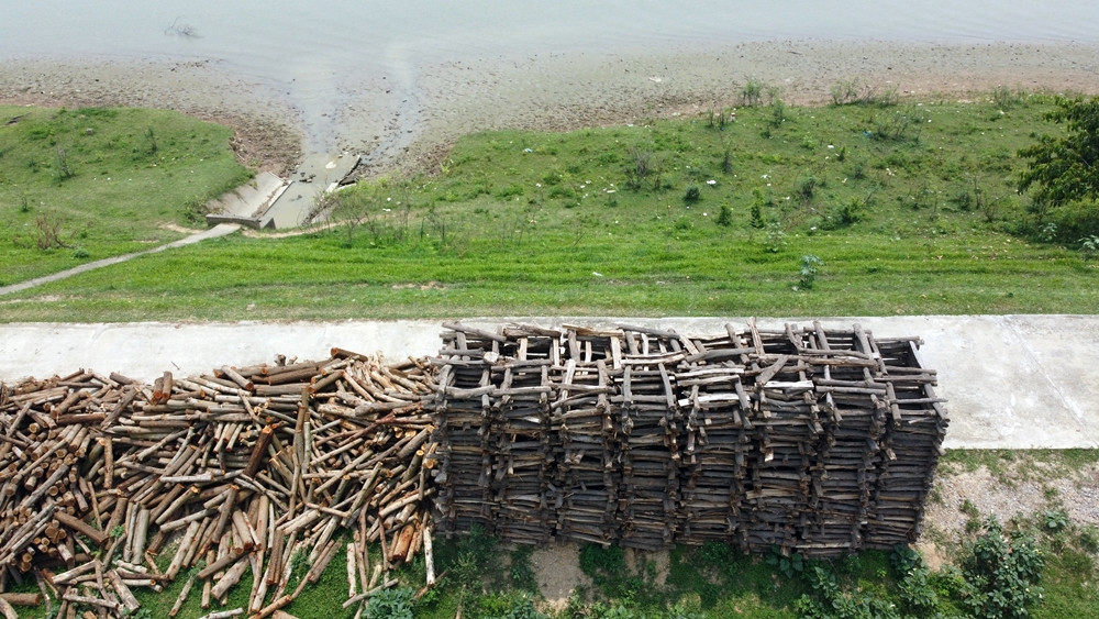 Một số đoạn, cây củi được cưa ngắn, đổ nằm la liệt ra cả lòng đường.