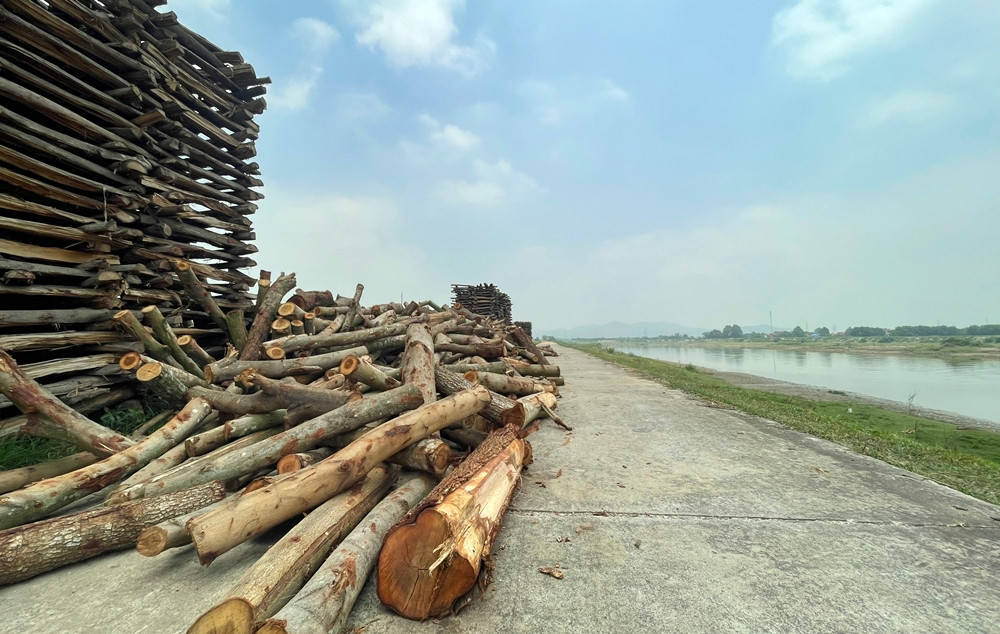 Diện tích lòng đường đê chỉ rộng khoảng hơn 2m, nhưng một số đoạn bị chiếm dụng đã gây cản trở, thu hẹp chỉ khoảng hơn 1m.