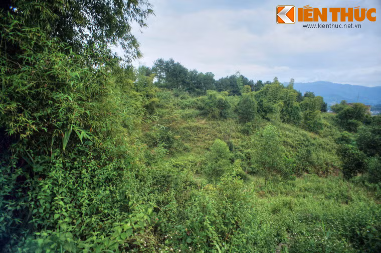 Đến 23h30 phút ngày 13/3, trận đánh đồi Him Lam đã kết thúc thắng lợi. Đại đoàn 312 đã hoàn thành nhiệm vụ tiêu diệt trung tâm đề kháng Him Lam, gần 300 tên địch đã bị diệt và hơn 200 tên bị bắt sống, chiến thắng Him Lam có ý nghĩa mở đường cho quân ta trong chiến dịch Điện Biên Phủ.