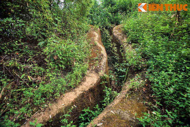 Về phía ta xác định cứ điểm Him Lam có vị trí quan trọng, Đánh được cứ điểm Him Lam sẽ mở đường cho quân ta đi từ Tuần Giáo Điện Biên để đánh chiếm các cứ điểm thuộc phân khu Bắc và phân khu Nam. Đại đoàn 312 vinh dự được giao nhiệm vụ quan trọng, mang ý nghĩa mở màn thắng lợi này. Hai trung đoàn bộ binh số 141 và 209 của đại đoàn được chọn là lực lượng trực tiếp tấn công tiêu diệt cứ điểm.