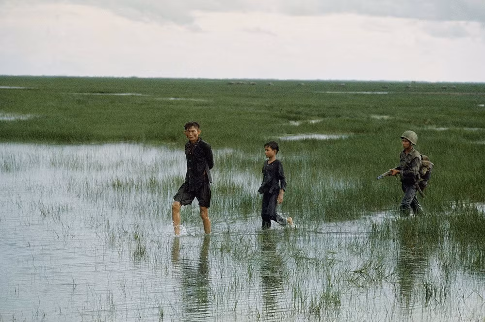 Binh lính Sài Gòn áp giải một người đàn ông và cậu bé sau khi phát hiện họ đang ẩn nấp trong ruộng lúa, năm 1962.