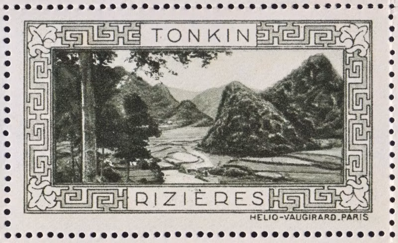 Ruộng lúa ở miền núi phía Bắc.