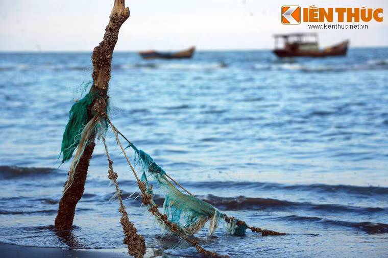 Cơ sở vật chất ở nơi đây đã bị tàn phá nặng nề trong những năm tháng chiến tranh.