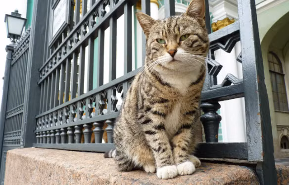 Su that kinh ngac ve nuoc Nga co the ban chua biet-Hinh-7