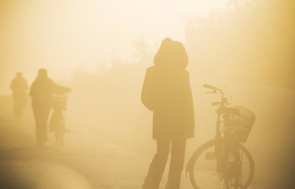 Một bức ảnh được chụp vào mùa đông.