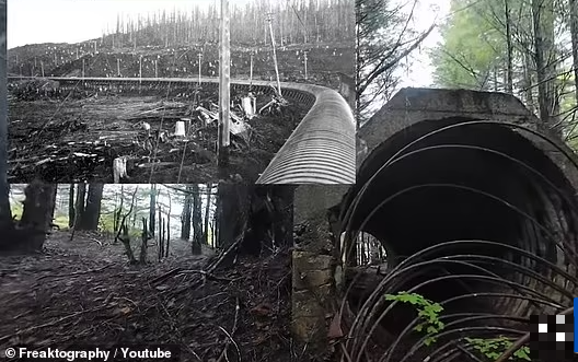 Thêm vào sự sụp đổ của Anyox, một vụ cháy rừng đã bùng phát vào năm 1946. Ngọn lửa đã quét sạch những gì còn sót lại của Anyox, chỉ để lại những kết cấu bê tông và thép lớn vẫn còn hiện hữu cho đến ngày nay.