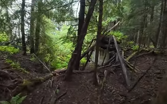 Theo một bài viết trên trang web của Đại học British Columbia, Anyox đã ngừng hoạt động vào năm 1935 do giá đồng giảm mạnh sau cuộc Đại suy thoái.