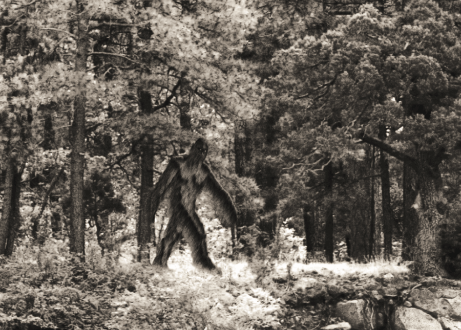 Portlock là thị trấn "ma" ở Alaska bị "quái vật" có tên Nantiinaq ám ảnh. Vào những năm 1920, tin đồn lan truyền về việc người ta nhìn thấy một "quái vật". Những tin đồn ngày càng lan rộng và Portlock trở thành thị trấn ma vào những năm 1950. Ngay cả bưu điện trong thị trấn cũng đóng cửa.