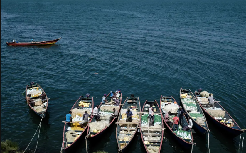 Isaac Buhinza, 22 tuổi người Uganda, học cách câu cá từ cha mình và chưa bao giờ đến trường. "Tôi không biết (hòn đảo) này thuộc quốc gia nào, tôi chỉ ở đây thôi", anh nói.