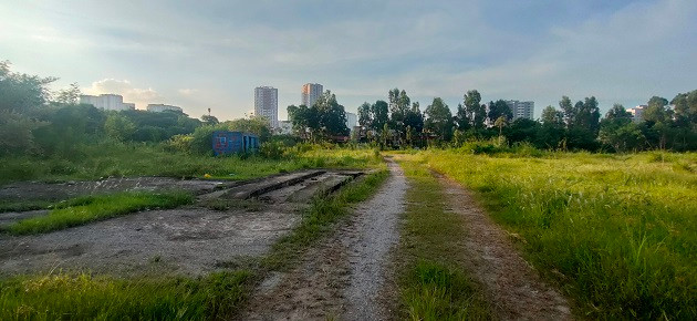 Gần 2 thập kỷ “nuôi” cỏ dại, Khu đô thị mới Thịnh Liệt hoang tàn, nhếch nhác - Hình 9 Gan 2 thap ky “nuoi” co dai, Khu do thi moi Thinh Liet hoang tan, nhech nhac-Hinh-9