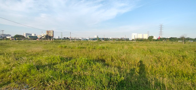 Gần 2 thập kỷ “nuôi” cỏ dại, Khu đô thị mới Thịnh Liệt hoang tàn, nhếch nhác - Hình 2 Gan 2 thap ky “nuoi” co dai, Khu do thi moi Thinh Liet hoang tan, nhech nhac-Hinh-2