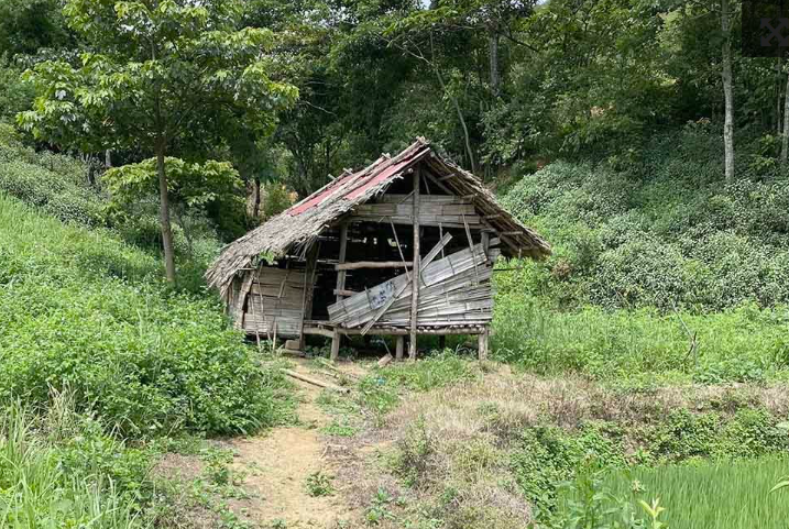 Đến tháng 1/2024, các trinh sát phát hiện, sâu trong rừng, gần với biên giới có một lán tạm ẩn mình dưới những tán cây um tùm. Bên trong lán chỉ có một người đàn ông sinh sống, rất bí ẩn. Công an xác định, gã đàn ông ẩn dật ấy chính là Sơn. Sơn rất ranh ma, bên trong lán gã luôn ôm súng theo người, còn xung quanh thì cài mìn với chiếc điều khiển lúc nào cũng lăm lăm, chỉ cần có động là bấm nút. (Ảnh minh họa, nguồn internet) 