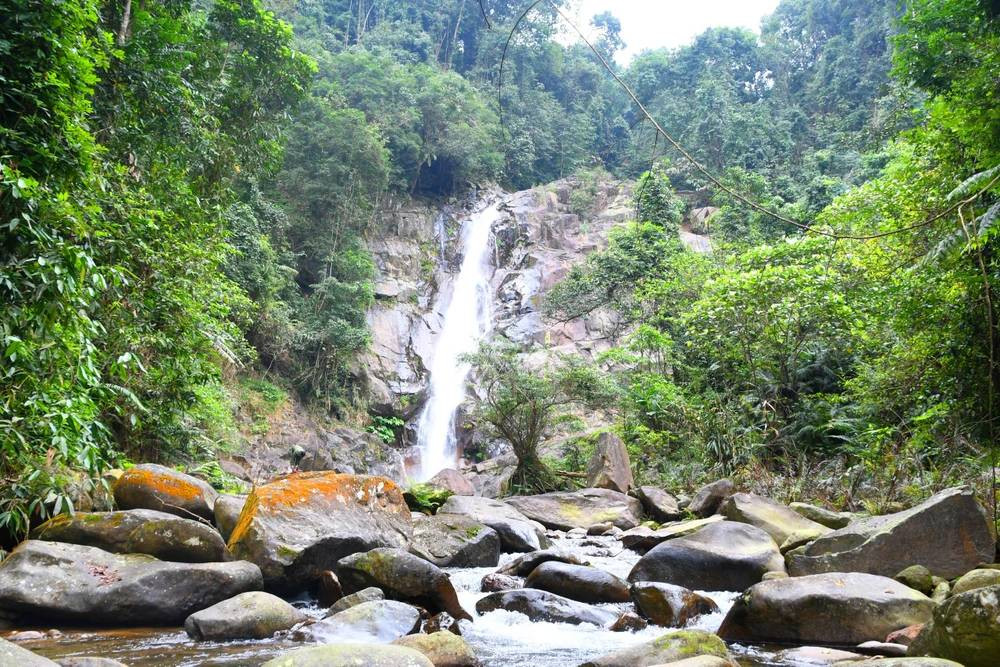 Xác minh mối quan hệ, công an được biết anh H và Sơn quen biết từ trước. Hai người có góp vốn làm ăn chung. Tuy nhiên, thời gian gần đây bắt đầu nảy sinh mâu thuẫn. Tối 15/5/2022, sau khi ra tay sát hại anh H. Sơn đã trốn vào rừng sâu. Sơn sinh ra và lớn lên tại khu vực rừng Vũ Quang, cả đời gắn với rừng nên rất thông thạo địa hình, địa vật và biết cách ẩn thân.(Ảnh minh họa, nguồn internet)