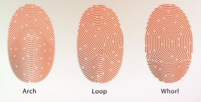 Anh T kể, trước đây gia đình sống ở quận 2, TP HCM, nhưng do bị giải tỏa, gia đình đã dọn về Nhơn Trạch. Mặc dù về Nhơn Trạch, nhưng anh Tr. thường xuyên quan hệ với một số bạn bè cũ ở quận 2. Tiến hành so sánh dấu vân tay của tử thi, CQĐT xác định xác chết trong bụi rậm chính là anh Hoàng Đức Tr. (Ảnh minh họa, nguồn internet)