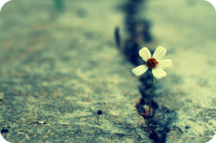 Hàng ngày nên đi dạo, đi thăm thú hoặc mua sắc để giúp tinh thần thoải mái, tâm trạng phấn chấn, vì thế mà đào hoa sẽ vượng. Những bạn đang yêu có đôi chút khúc mắc, không gặp thì nhớ nhung da diết, gặp thì lại cãi cọ. Ai cũng có cái tôi thành ra không ai chịu nhường. Nhưng thời tiết ngày càng lạnh, có chút giận hờn tình cảm càng thêm nồng ấm.