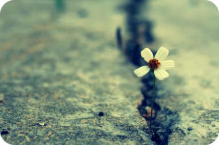 Hàng ngày nên đi dạo, đi thăm thú hoặc mua sắc để giúp tinh thần thoải mái, tâm trạng phấn chấn, vì thế mà đào hoa sẽ vượng. Những bạn đang yêu có đôi chút khúc mắc, không gặp thì nhớ nhung da diết, gặp thì lại cãi cọ. Ai cũng có cái tôi thành ra không ai chịu nhường. Nhưng thời tiết ngày càng lạnh, có chút giận hờn tình cảm càng thêm nồng ấm.