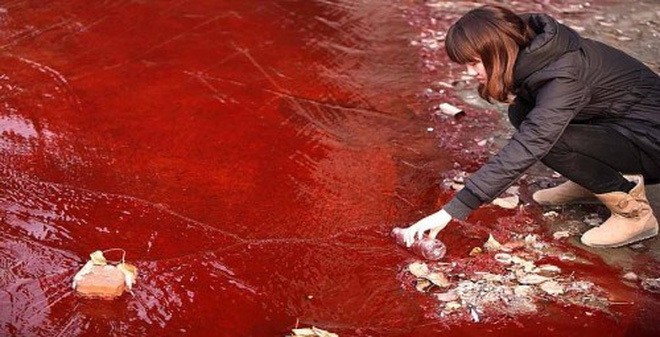 Mưa máu. Cơn mưa máu gây khiếp đảm đầu tiên ghi nhận xuất hiện từ thời La Mã cổ đại. Sau đó, một cơn mưa máu được ghi nhận vào năm 1841 ở bang Tennessee (Hoa Kỳ). Và mới đây nhất, vào năm 2006, một cơn mưa máu cũng đã trút xuống vùng Kerela (Ấn Độ). Ảnh: Soha.