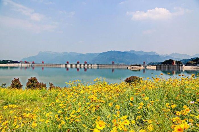 Theo các điều tra về mức độ đa dạng sinh học khu vực xung quanh đập thủy điện Tam Hiệp, đây là nơi cư ngụ của 6.400 loài thực vật, 3.400 loài côn trùng, 300 loài cá và hơn 500 loài động vật có xương sống trên cạn.