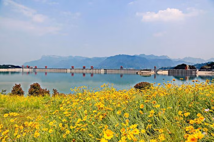 Theo các điều tra về mức độ đa dạng sinh học khu vực xung quanh đập thủy điện Tam Hiệp, đây là nơi cư ngụ của 6.400 loài thực vật, 3.400 loài côn trùng, 300 loài cá và hơn 500 loài động vật có xương sống trên cạn.