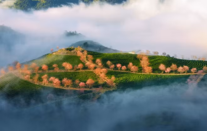 Với chỉ 4 chữ cái, Sa Pa và La Gi hiện là 2 thị xã có tên gọi ngắn nhất Việt Nam. Thị xã Sa Pa thuộc tỉnh Lào Cai. Thị xã La Gi thuộc tỉnh Bình Thuận.