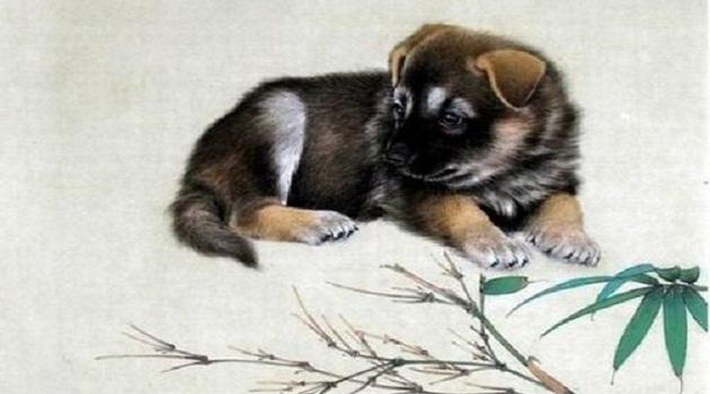 Qua một thời gian dài tôi luyện, lại mới qua năm tuổi được một thời gian, nay là lúc vận may “rơi trúng đầu” bạn, con giáp Tuất sẽ ngày càng hạnh phúc và kiếm tiền ngày một dễ dàng và ngày một nhiều.