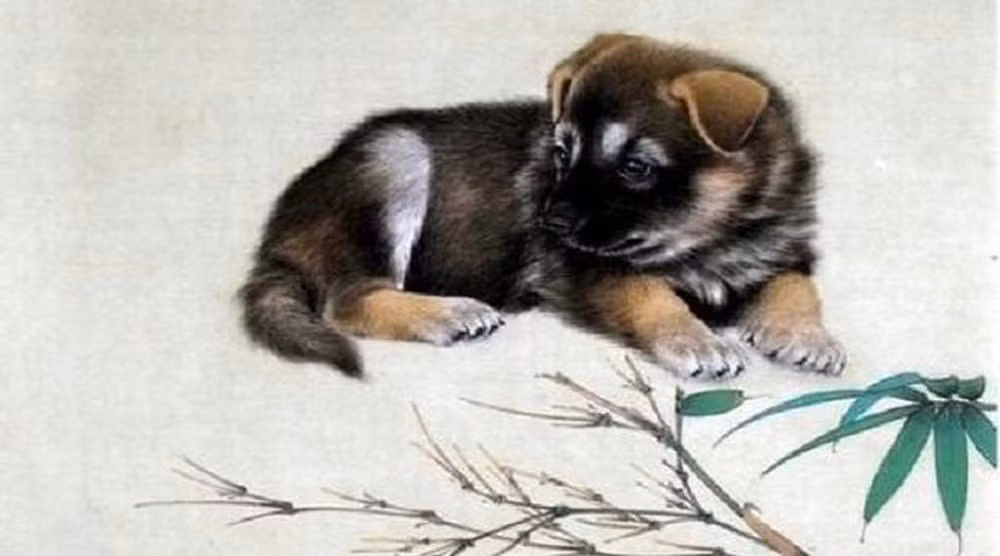 Qua một thời gian dài tôi luyện, lại mới qua năm tuổi được một thời gian, nay là lúc vận may “rơi trúng đầu” bạn, con giáp Tuất sẽ ngày càng hạnh phúc và kiếm tiền ngày một dễ dàng và ngày một nhiều.