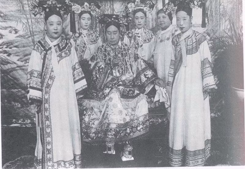 Trong cuốn hồi ức mang tên "Hình bóng hoàng triều", người thân cận bên cạnh Từ Hy Thái Hậu là Đức Linh Công chúa từng miêu tả: "Thái hậu phong tư thướt tha, đẹp như thiếu nữ, đó là điều mà người trong cung ai cũng ngưỡng mộ". Tuy nhiên, nhiều ảnh của bà bị hậu thế buông lời chê là kém sắc.