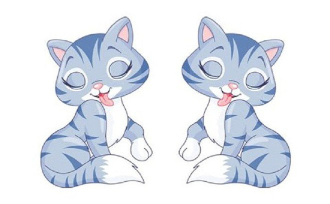 Tuổi Mão: Hôm nay tài vận của họ không tốt lắm, vì quá tự tin nên để tổn thất một khoản tiền nhỏ. Lời khuyên dành cho bạn là đừng quá kích động, dục tốc bất đạt. Hãy làm lại vào ngày hôm sau. 