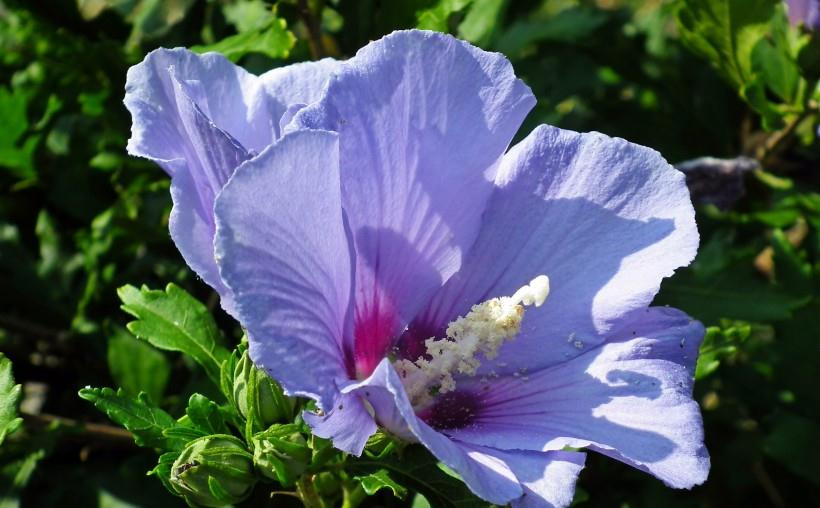 Sau những tích lũy nhiều năm, dù trải qua nhiều đợt bôn ba, lên xuống nhưng tổng thể “không thể tránh được” số phận giàu sang. 