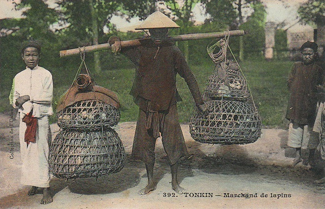 Vận chuyển trên đôi quang gánh là hình ảnh truyền thống ở nông thôn Việt Nam. Trong ảnh là hình ảnh người bán thỏ ở Bắc Kỳ.