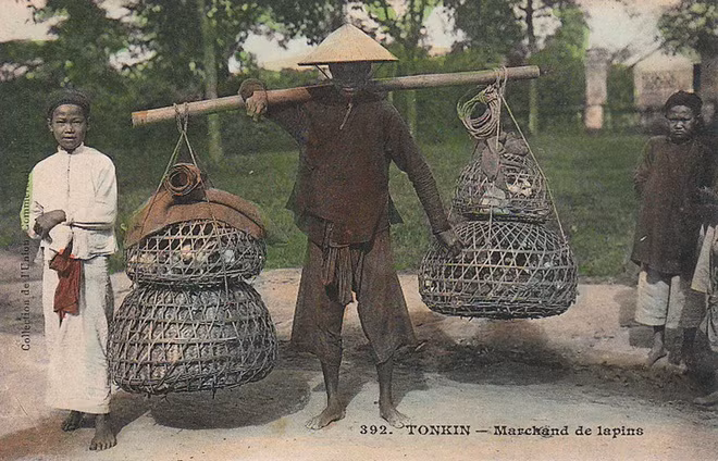 Vận chuyển trên đôi quang gánh là hình ảnh truyền thống ở nông thôn Việt Nam. Trong ảnh là hình ảnh người bán thỏ ở Bắc Kỳ.