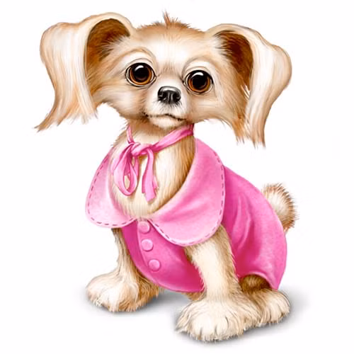 Không chỉ bản thân họ có phúc khí dạt dào mà họ cũng luôn tỏa ra nguồn năng lượng tích cực và cho những người xung quanh. Họ cũng san sẻ vận may của mình cho các thành viên trong gia đình nên cuộc sống của gia đình có người tuổi Tuất luôn hòa hợp, vui vẻ, tài lộc hưng vượng. 